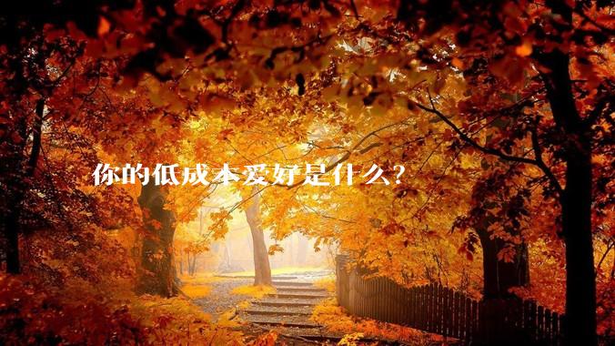 你的低成本爱好是什么？